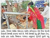 કૃષિ વિજ્ઞાન કેન્દ્ર, દાહોદ દ્વારા પશુ આરોગ્ય કેમ્પ યોજી વિશ્વ વેટરનરી દિવસની ઉજવણી કરવામાં આવી