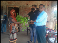 KItchen Gardan2