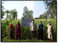 Results of Front Line Demonstrations (Other crops)2