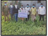 Results of FLDS on Plant protection1