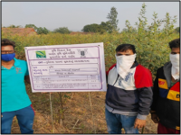 OFT : Management of wilt in Pigeon Pea