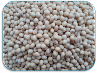 Results of Front Line Demonstrations (Oilseeds crops)3