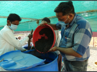 Skill trainings Organic grower technician4