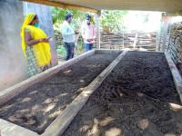 Prog. Farmer Field visit