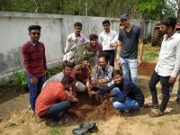 Tree plantation-CAET-Godhra-2019-20