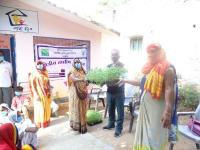 VEG.SEED DISTRIBUTATION
