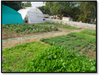 kitchan gardan