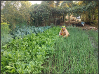Poshan maah2