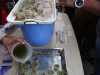 Against H1N1
